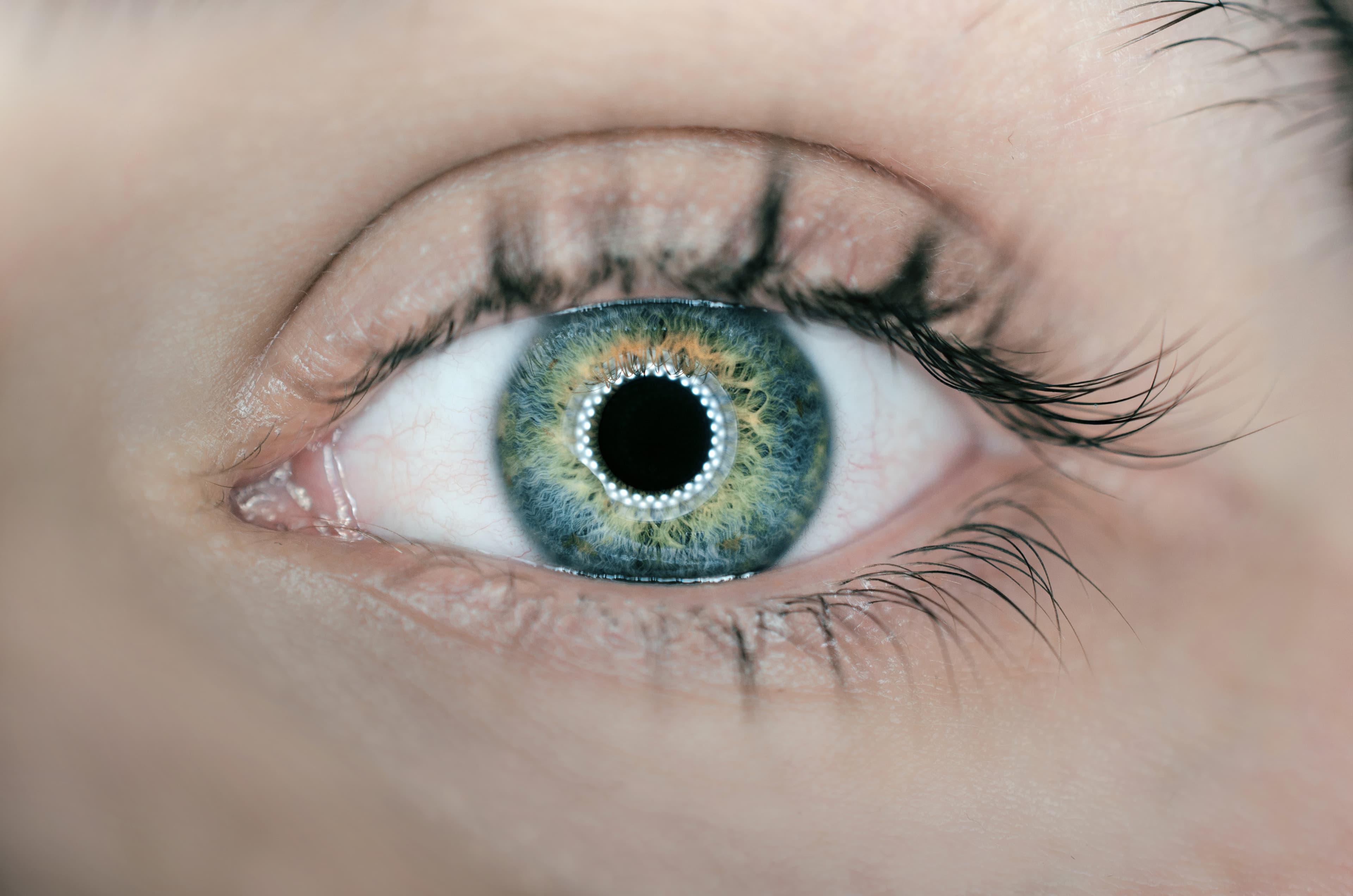 Oakland Dry Eye SPA - olive + spex optometry